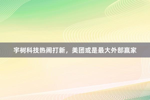 宇树科技热闹打新，美团或是最大外部赢家