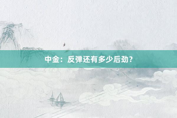 中金：反弹还有多少后劲？