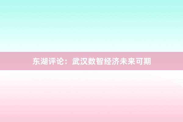 东湖评论：武汉数智经济未来可期