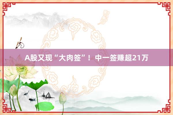 A股又现“大肉签”！中一签赚超21万