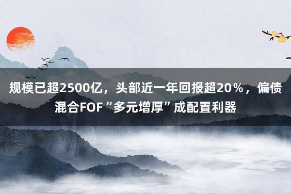 规模已超2500亿，头部近一年回报超20％，偏债混合FOF“多元增厚”成配置利器