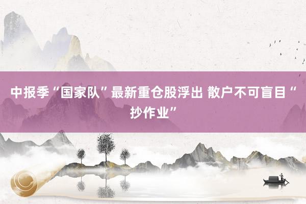 中报季“国家队”最新重仓股浮出 散户不可盲目“抄作业”