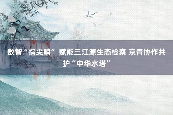 数智“指尖哨” 赋能三江源生态检察 京青协作共护“中华水塔”
