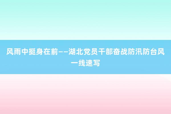 风雨中挺身在前——湖北党员干部奋战防汛防台风一线速写