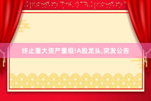 终止重大资产重组!A股龙头,突发公告
