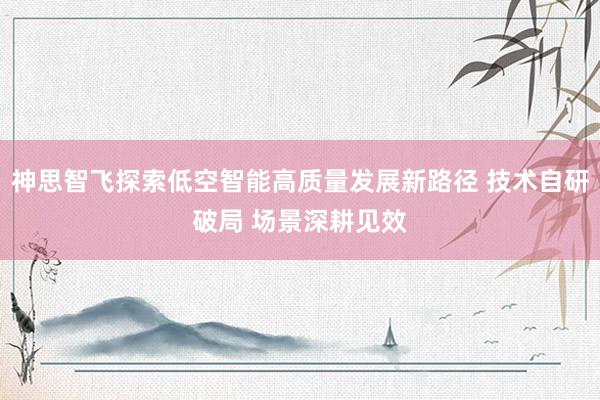 神思智飞探索低空智能高质量发展新路径 技术自研破局 场景深耕见效