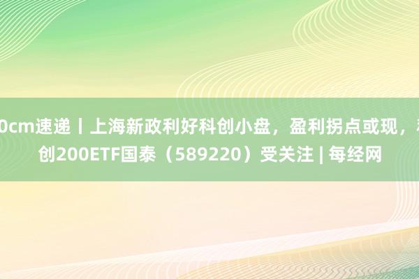 20cm速递丨上海新政利好科创小盘，盈利拐点或现，科创200ETF国泰（589220）受关注 | 每经网