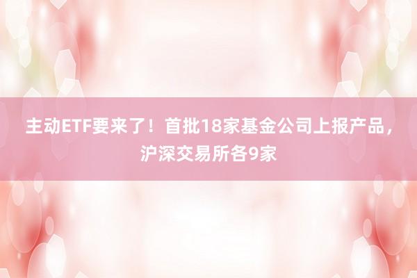 主动ETF要来了！首批18家基金公司上报产品，沪深交易所各9家