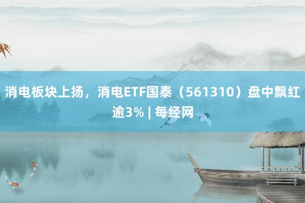 消电板块上扬，消电ETF国泰（561310）盘中飘红逾3% | 每经网