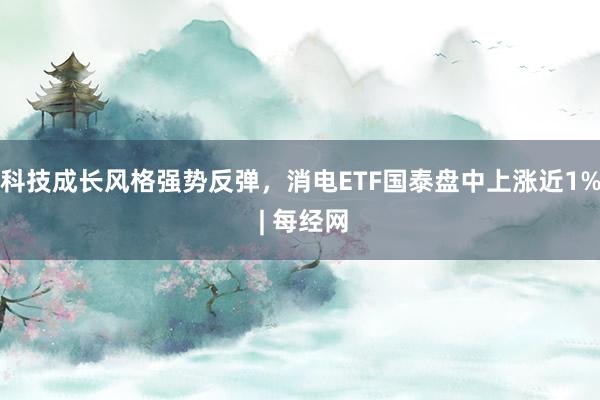科技成长风格强势反弹，消电ETF国泰盘中上涨近1% | 每经网