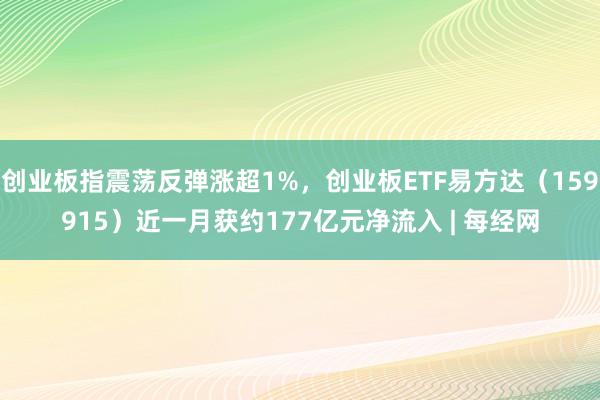 创业板指震荡反弹涨超1%，创业板ETF易方达（159915）近一月获约177亿元净流入 | 每经网