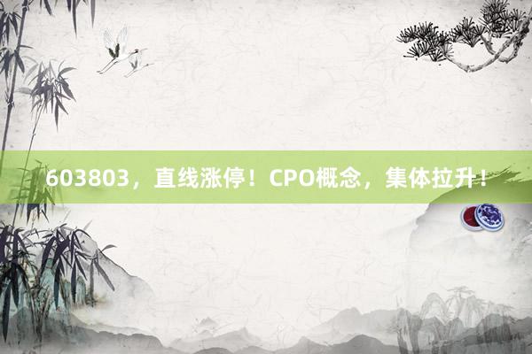 603803，直线涨停！CPO概念，集体拉升！