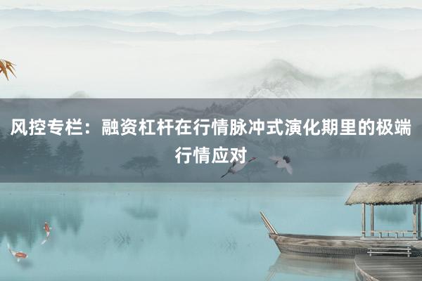 风控专栏：融资杠杆在行情脉冲式演化期里的极端行情应对