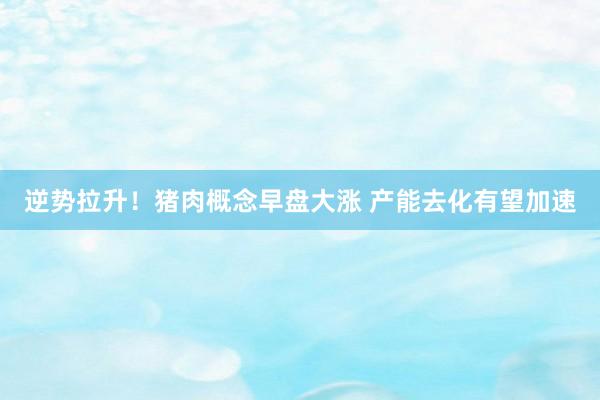 逆势拉升！猪肉概念早盘大涨 产能去化有望加速