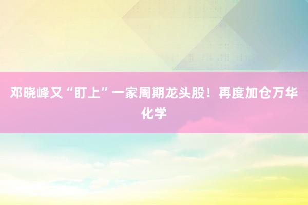 邓晓峰又“盯上”一家周期龙头股！再度加仓万华化学