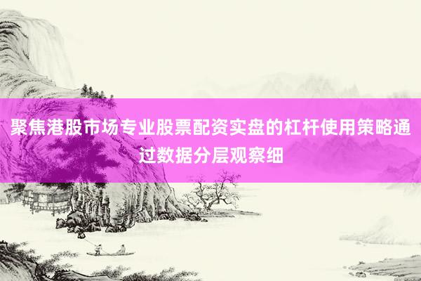 聚焦港股市场专业股票配资实盘的杠杆使用策略通过数据分层观察细