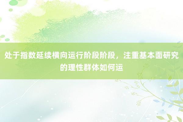 处于指数延续横向运行阶段阶段，注重基本面研究的理性群体如何运