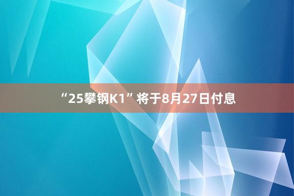 “25攀钢K1”将于8月27日付息