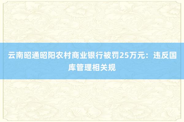 云南昭通昭阳农村商业银行被罚25万元：违反国库管理相关规