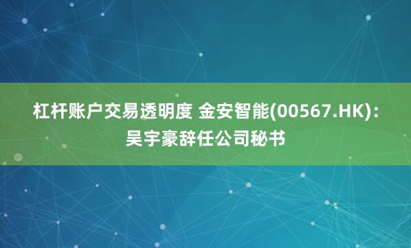 杠杆账户交易透明度 金安智能(00567.HK)：吴宇豪辞任公司秘书