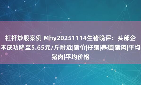 杠杆炒股案例 Mhy20251114生猪晚评：头部企业成本成功降至5.65元/斤附近|猪价|仔猪|养殖|猪肉|平均价格