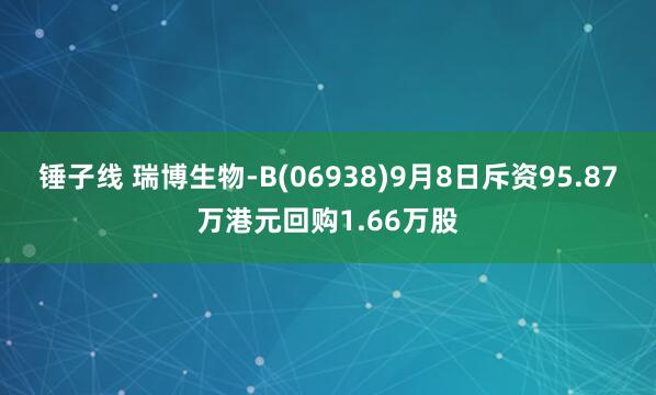 锤子线 瑞博生物-B(06938)9月8日斥资95.87万港元回购1.66万股