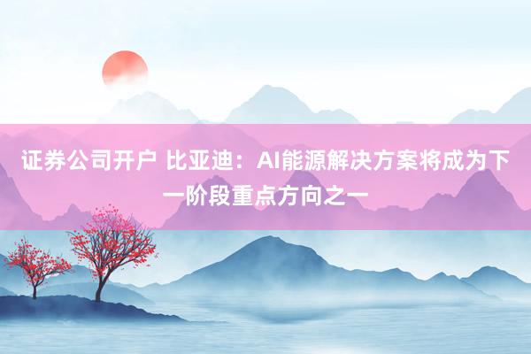 证券公司开户 比亚迪：AI能源解决方案将成为下一阶段重点方向之一