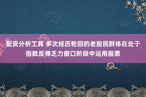 配资分析工具 多次经历轮回的老股民群体在处于指数反弹乏力窗口阶段中运用股票