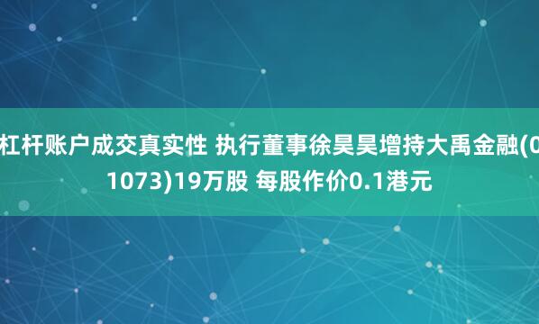 杠杆账户成交真实性 执行董事徐昊昊增持大禹金融(01073)19万股 每股作价0.1港元