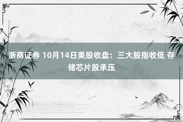 浙商证券 10月14日美股收盘：三大股指收低 存储芯片股承压