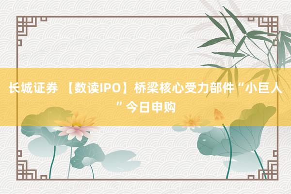 长城证券 【数读IPO】桥梁核心受力部件“小巨人”今日申购