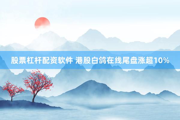 股票杠杆配资软件 港股白鸽在线尾盘涨超10%