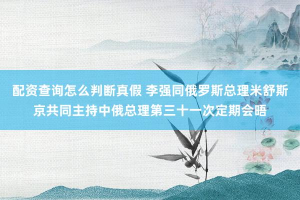 配资查询怎么判断真假 李强同俄罗斯总理米舒斯京共同主持中俄总理第三十一次定期会晤